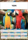 arara
