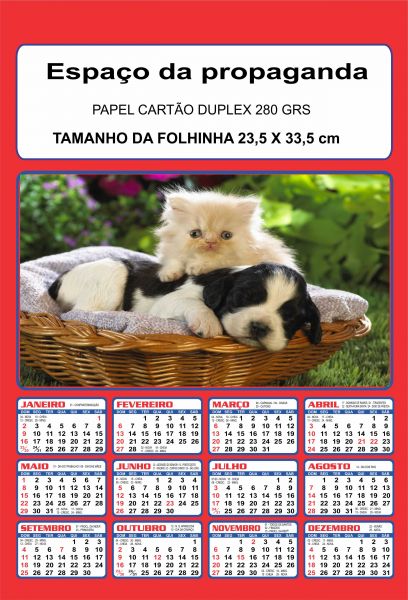 gato